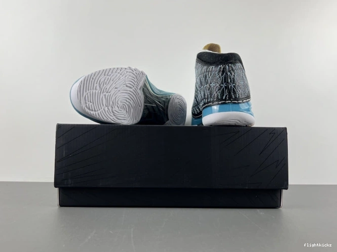23 UNC Jordan 318376-041 0729